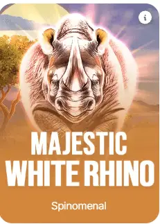 Majestic White Rhino